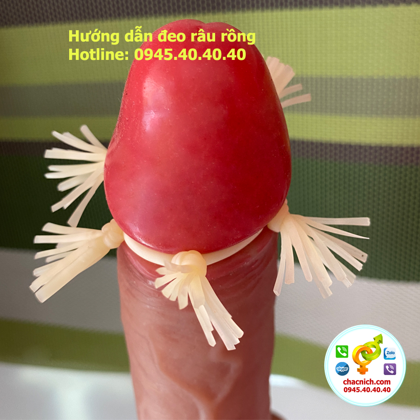cách đeo vòng râu rồng quét màng nhện
