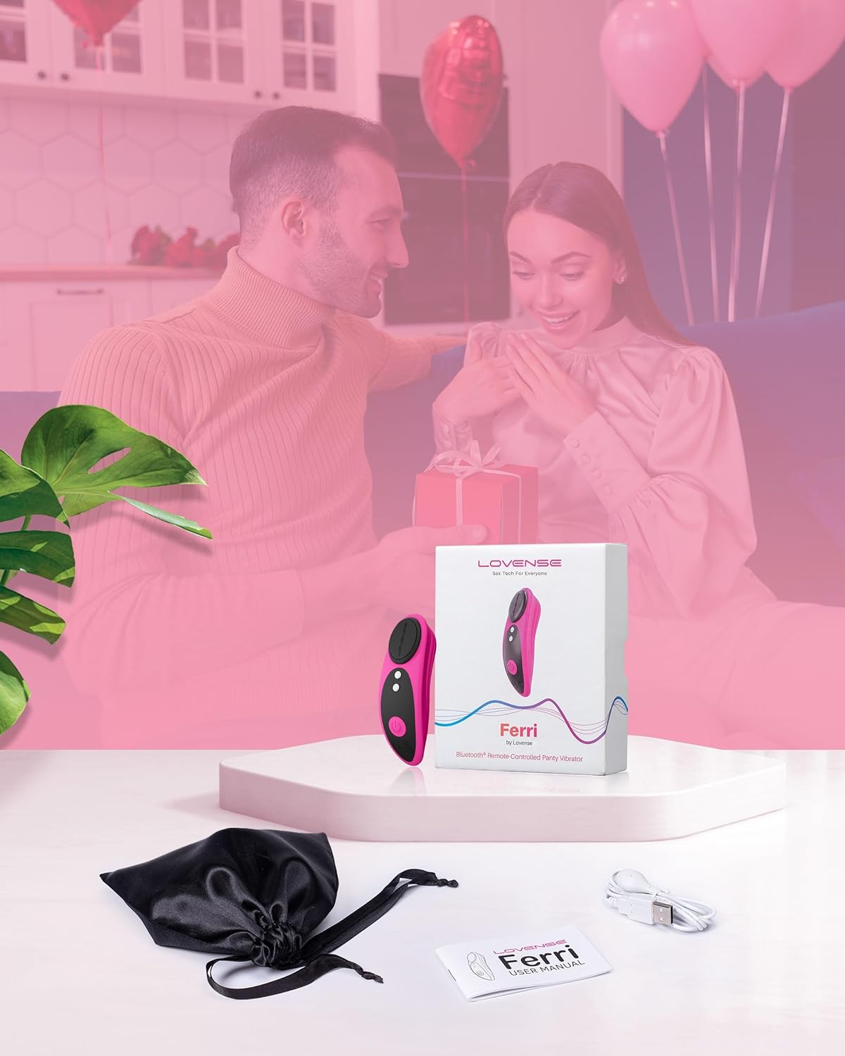 Lovense Ferri full box